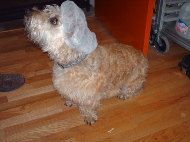 Maggie