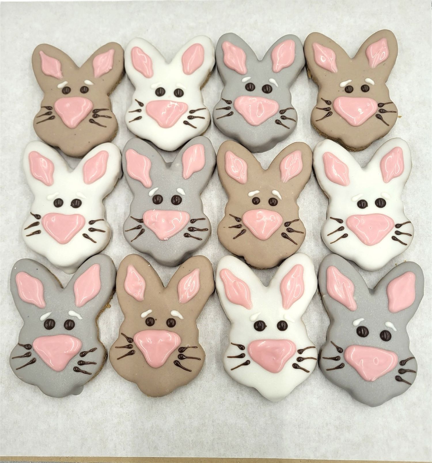 Bunny Faces - Tray of 12