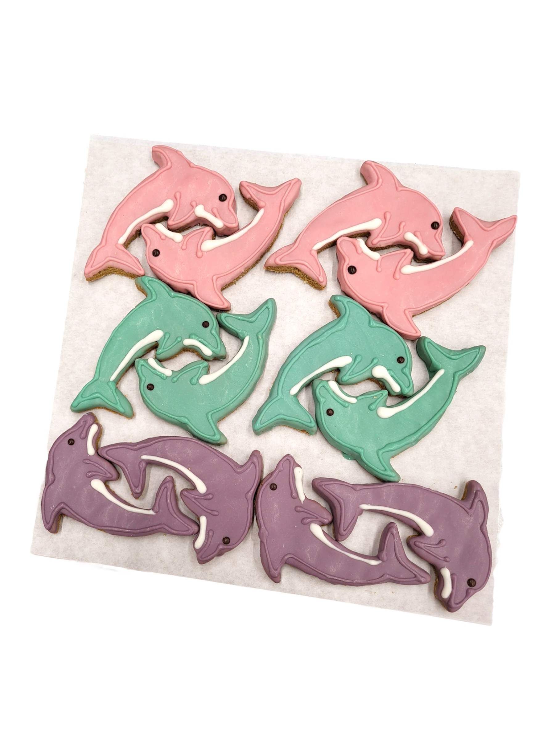 Dolphins - Tray of 12