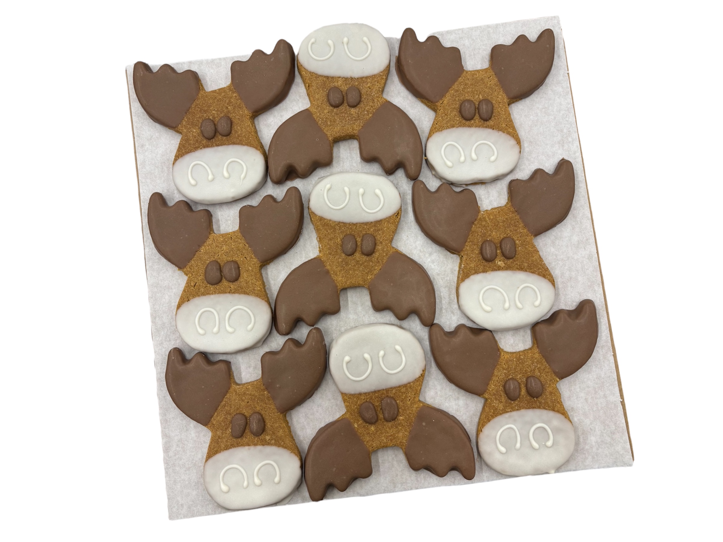 Mr. Moose  - Tray of 9 *