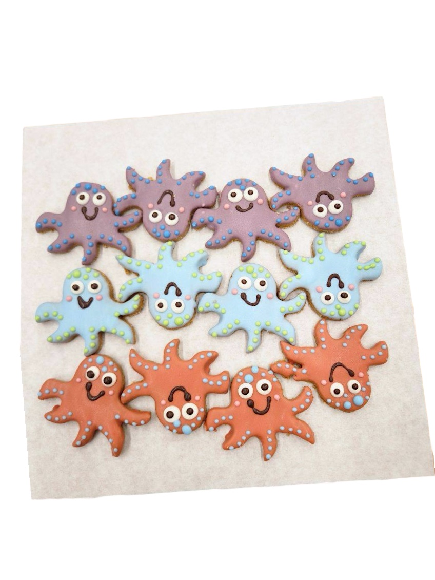 Octopus - Tray of 12