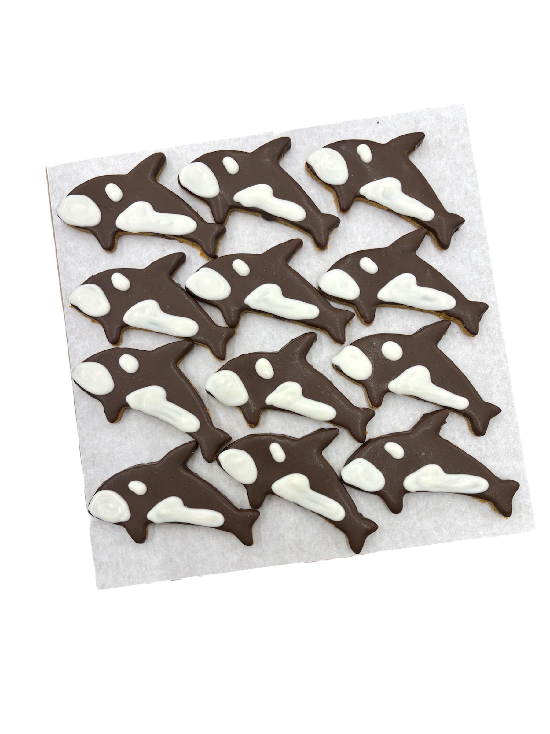 Orcas - Tray of 12
