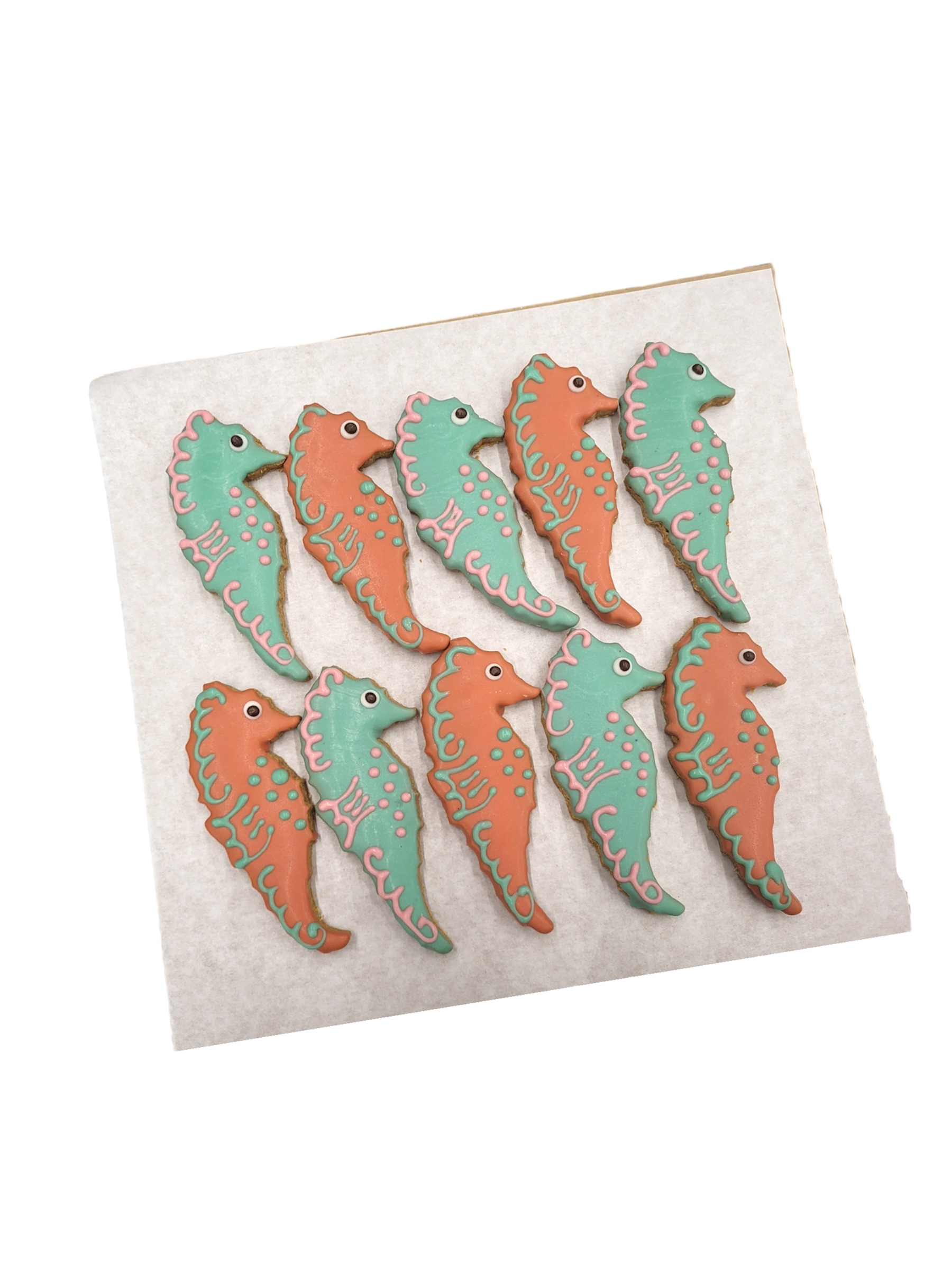 Sea Horses - Tray of 10