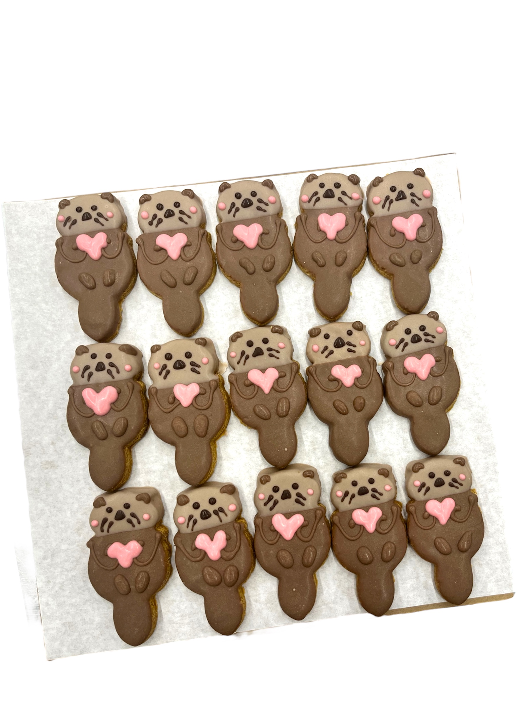 Sea Otter - Tray of 15