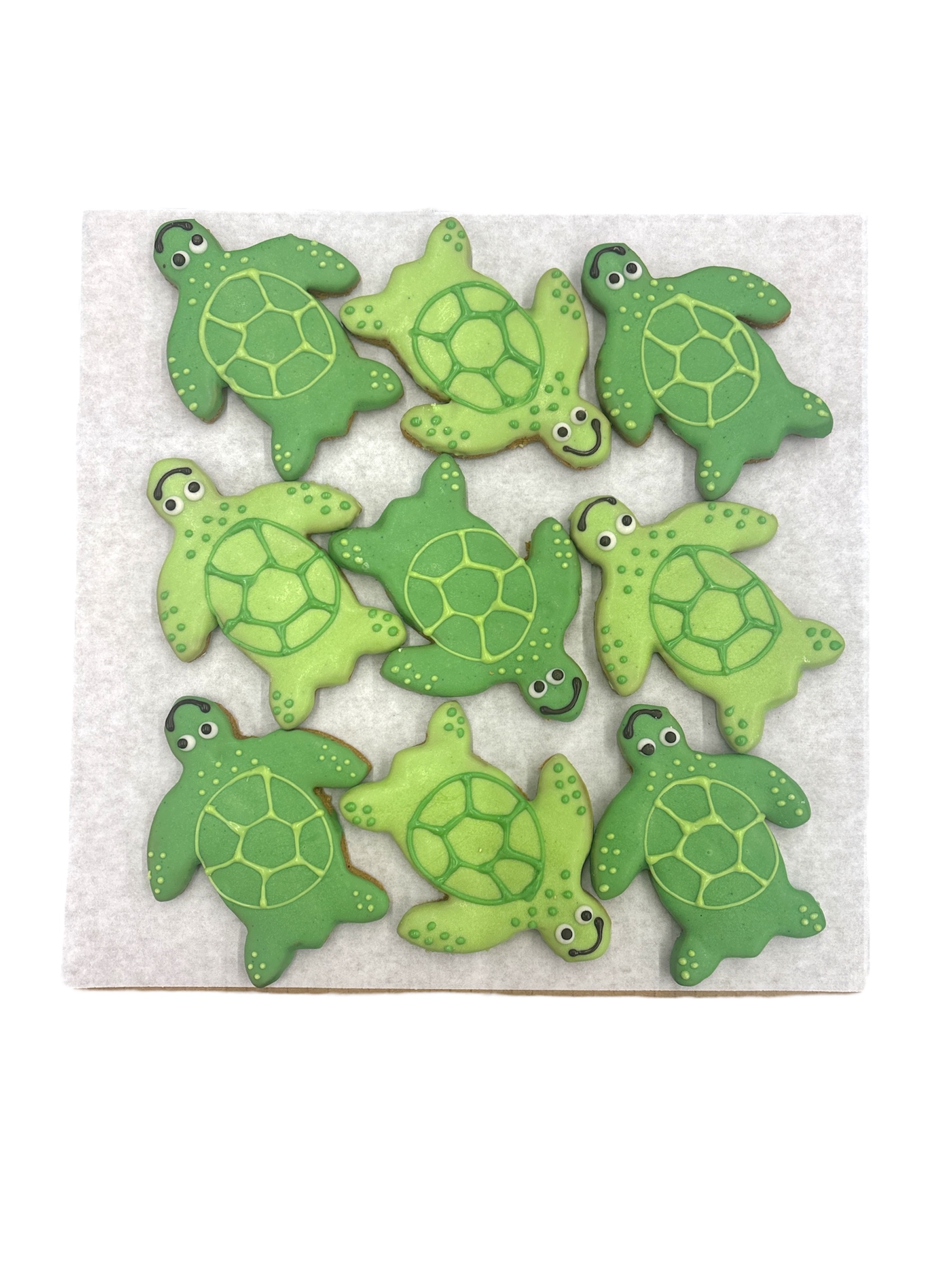 Sea Turtles - Tray of 9