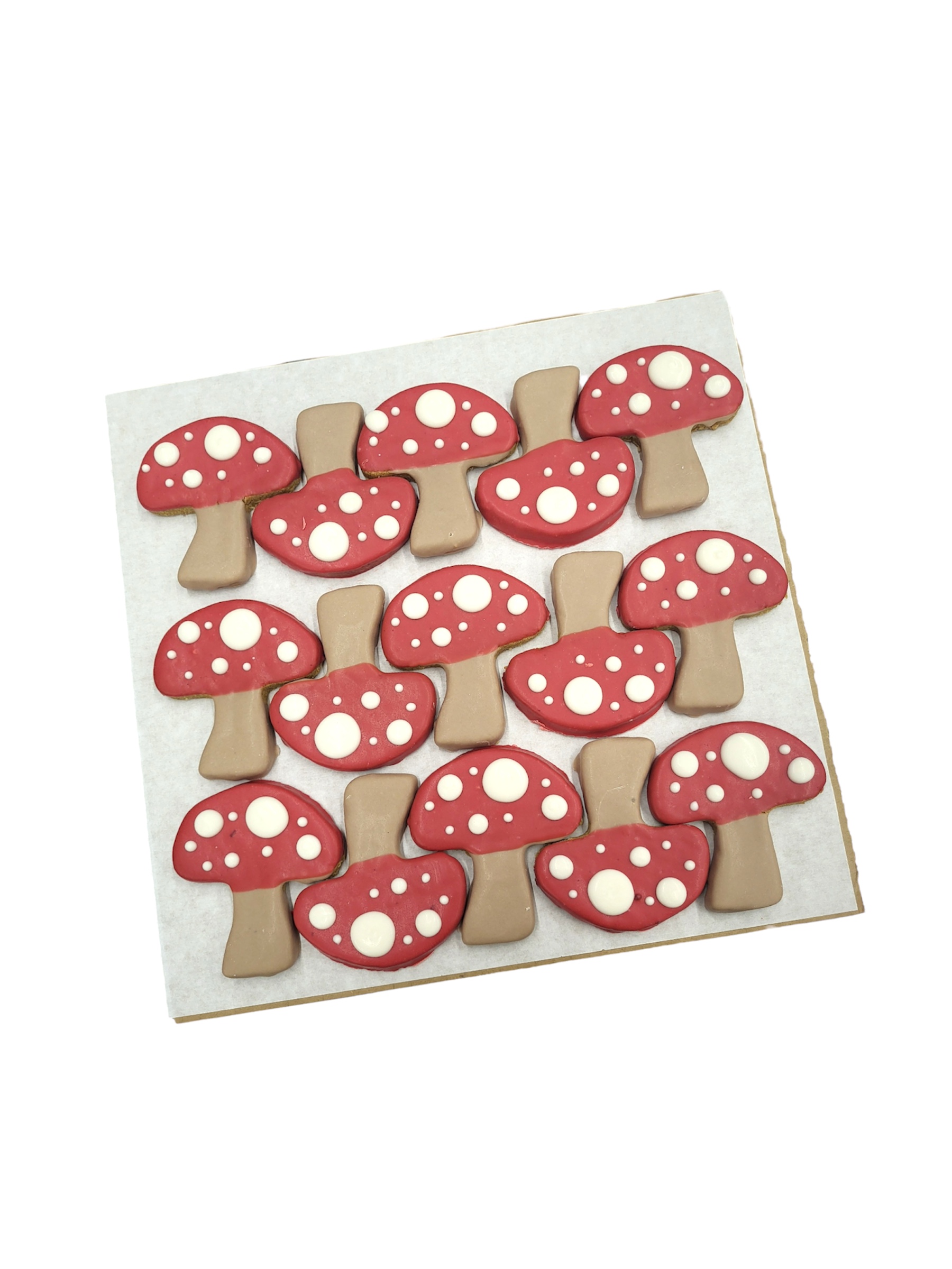 Shrooms - Tray of 15