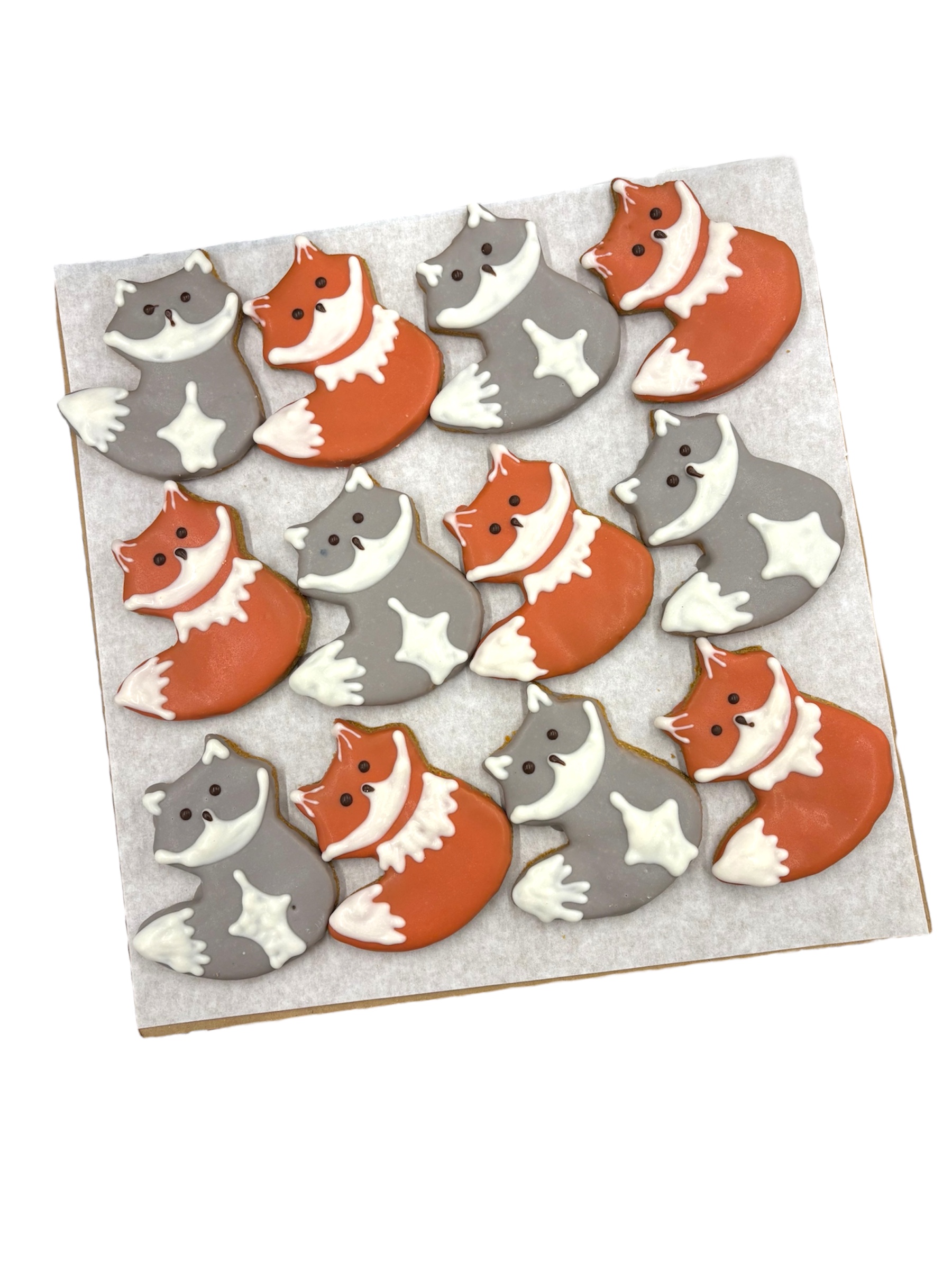 Arctic Foxes - Tray of 12  *