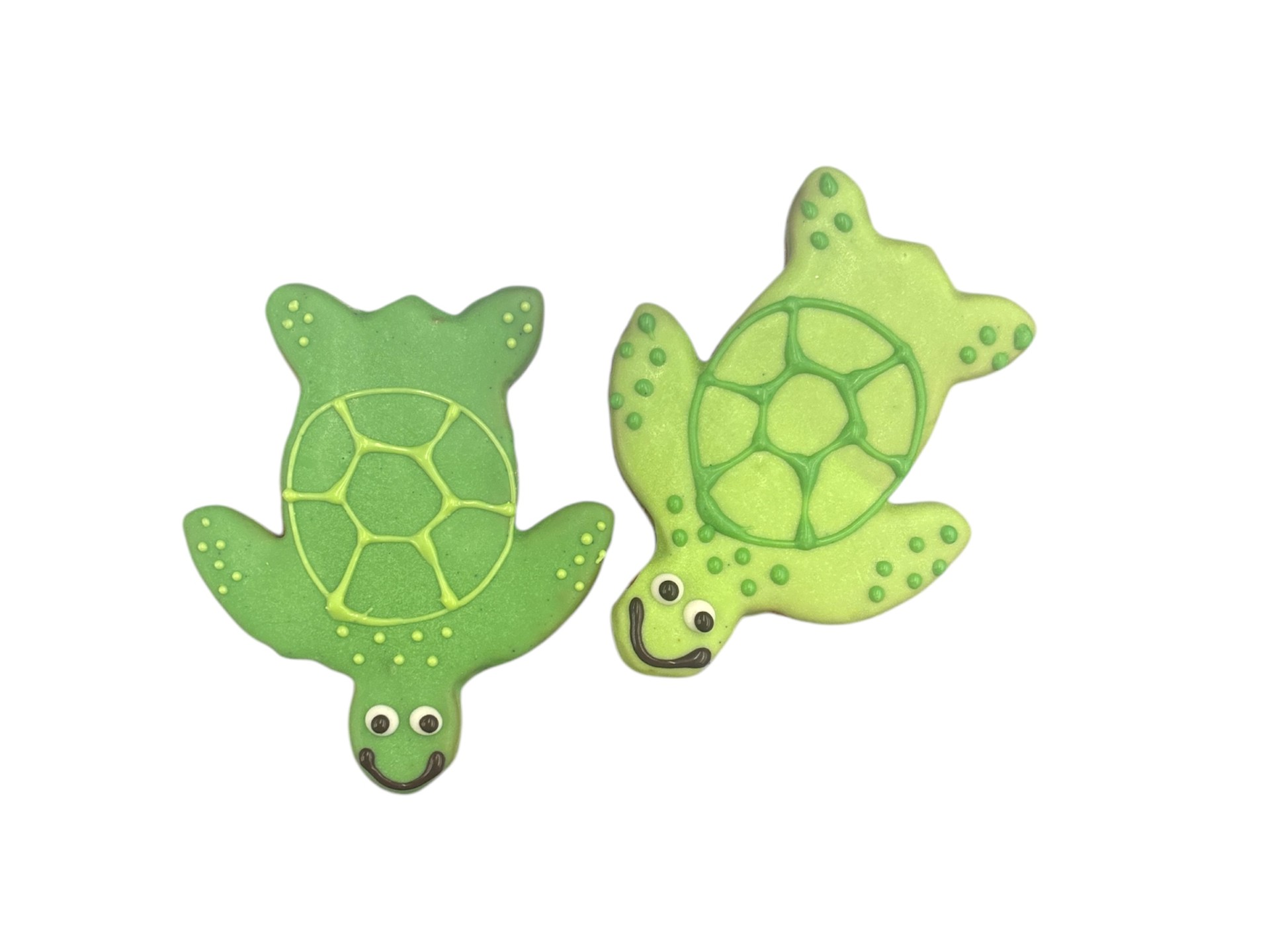 Sea Turtles - Tray of 9