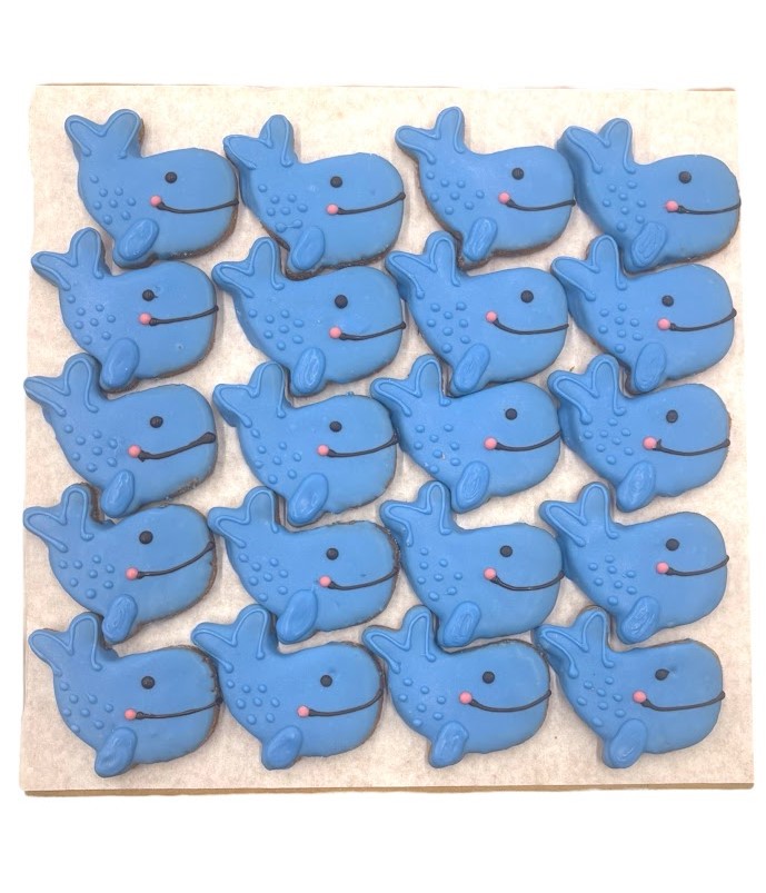 Blue Whales - Tray of 20