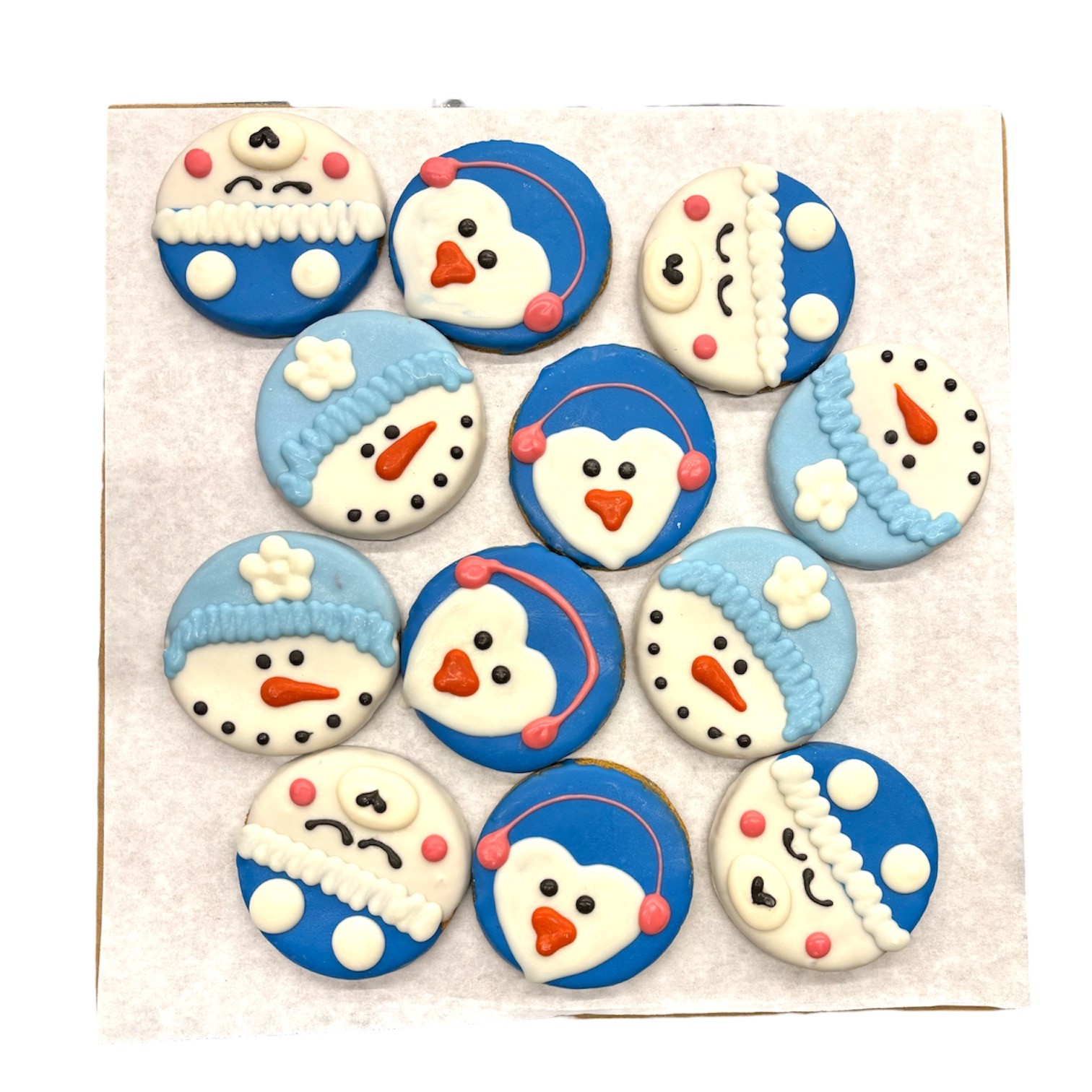 Cozy Critters - Tray of 12 * 