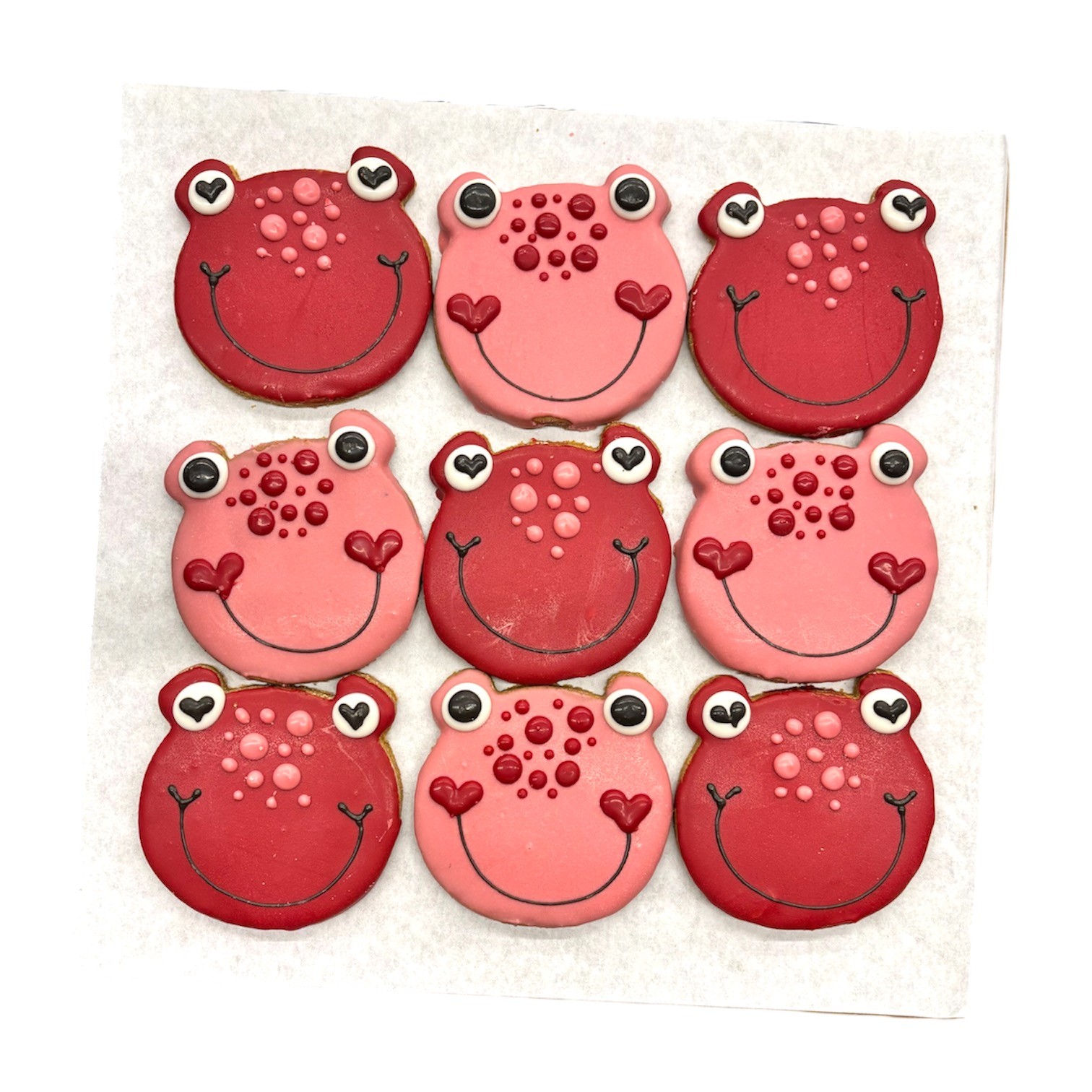 Kiss A Frog - Tray of 9 *