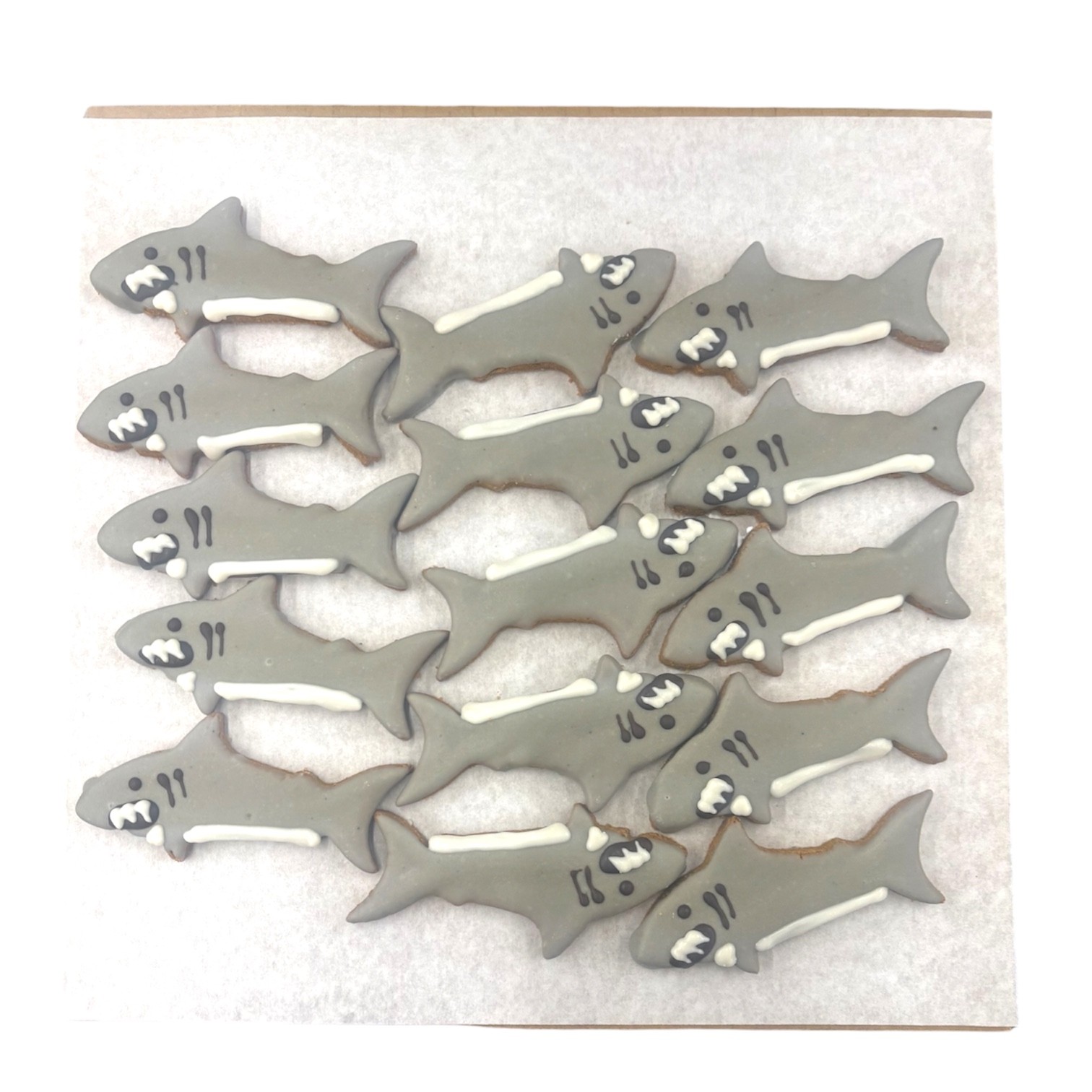 Shark Attacks - Tray of 15