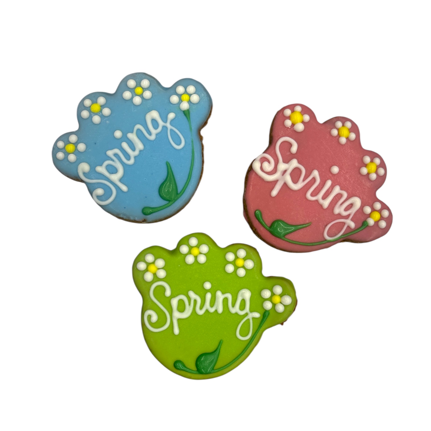 Spring Paws - Tray of 12 *