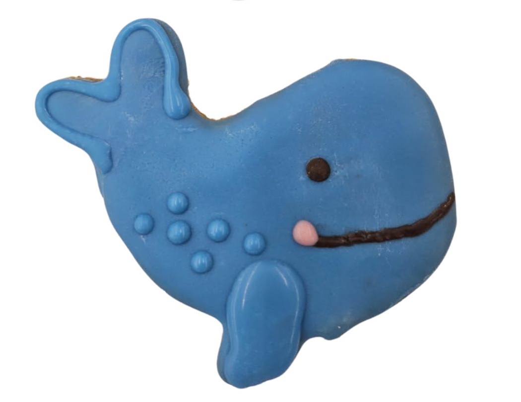 Blue Whales - Tray of 20
