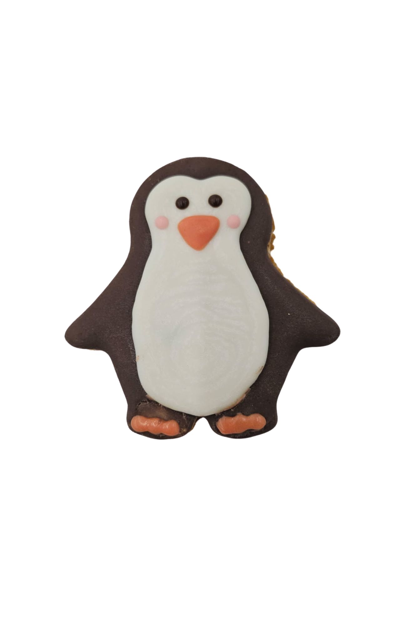 Penguins - Tray of 12