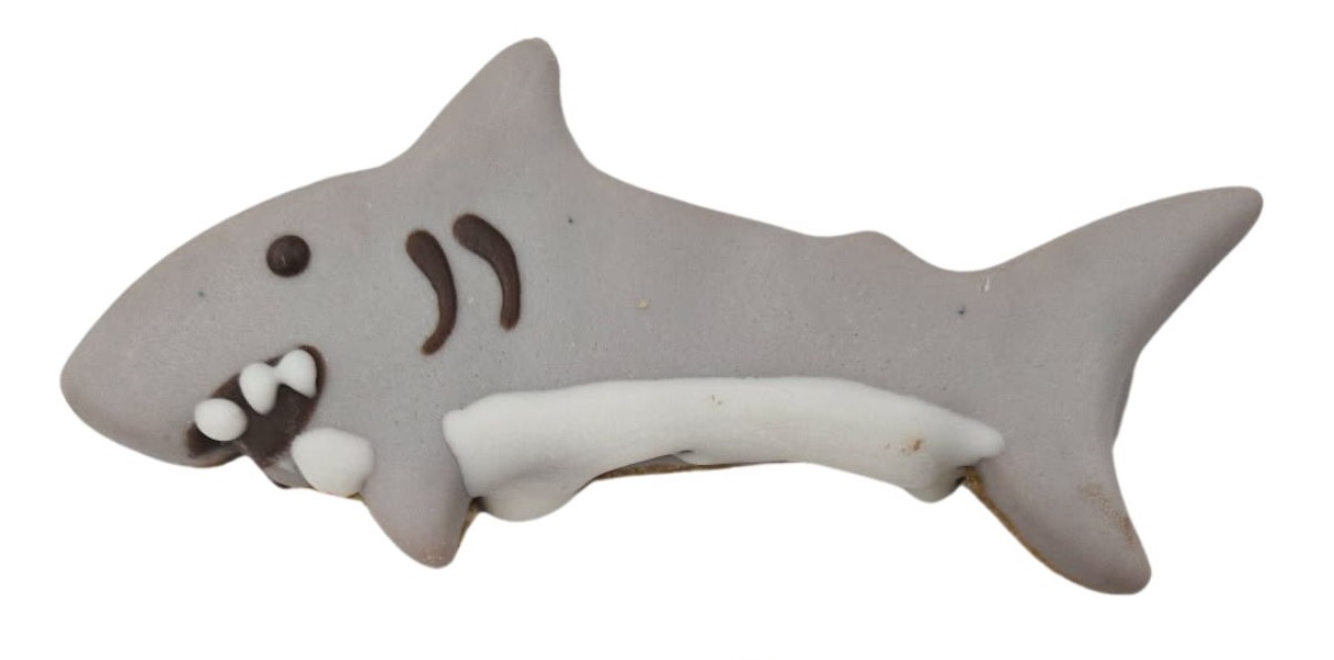 Shark Attacks - Tray of 15