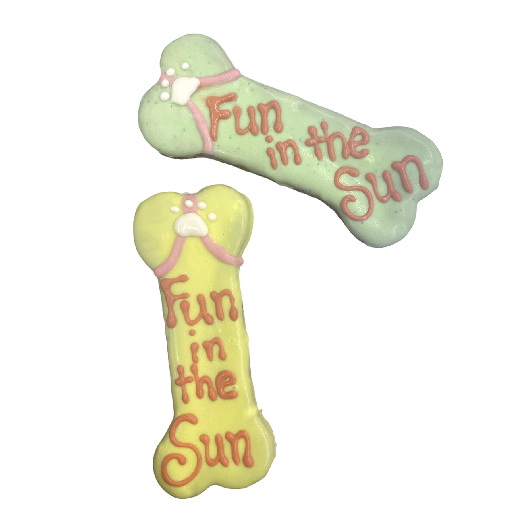 Fun in the Sun Bones - Tray of 10 *