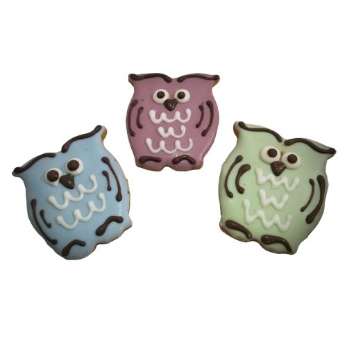 The H'owlery - Tray of 16 *