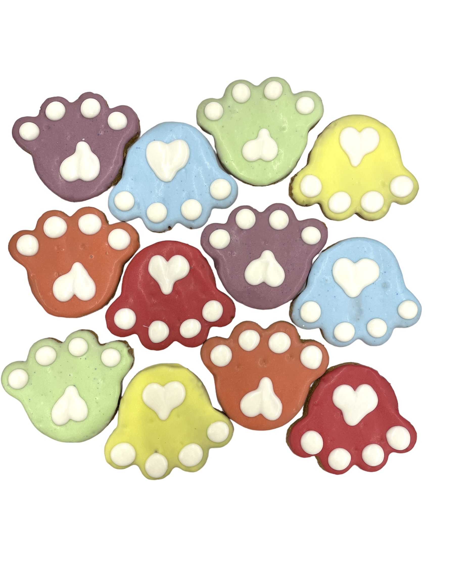 Paw Pride - Tray of 12 